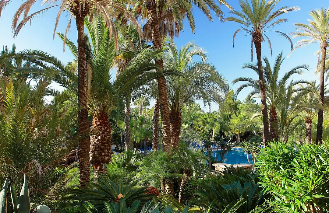 Ria Park Hotel & Spa-1